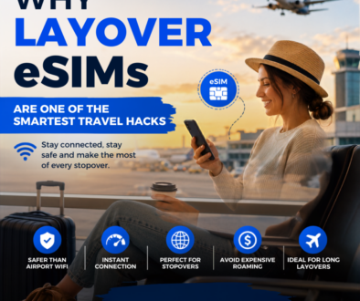 Layover sims